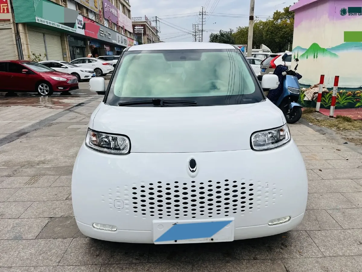 2020 Ora WhiteCat BEV 29.4KWH,autocango,china used car exporter,china ev exporter,chinese used car exporter,chinese used ev exporter