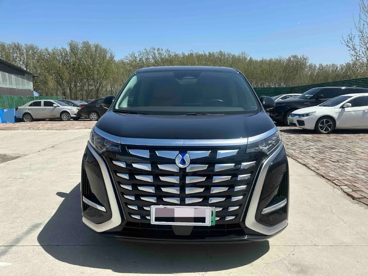 2024 Denza D9 1.5T 139HP L4 E-CVT PHEV 20.39KWH,autocango,china used car exporter,china ev exporter,chinese used car exporter,chinese used ev exporter
