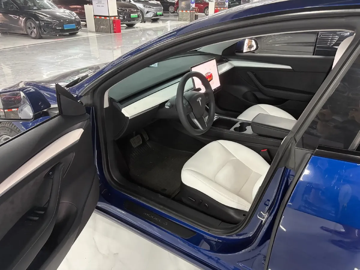 2022 Tesla Model 3 BEV 60KWH,autocango,china used car exporter,china ev exporter,chinese used car exporter,chinese used ev exporter