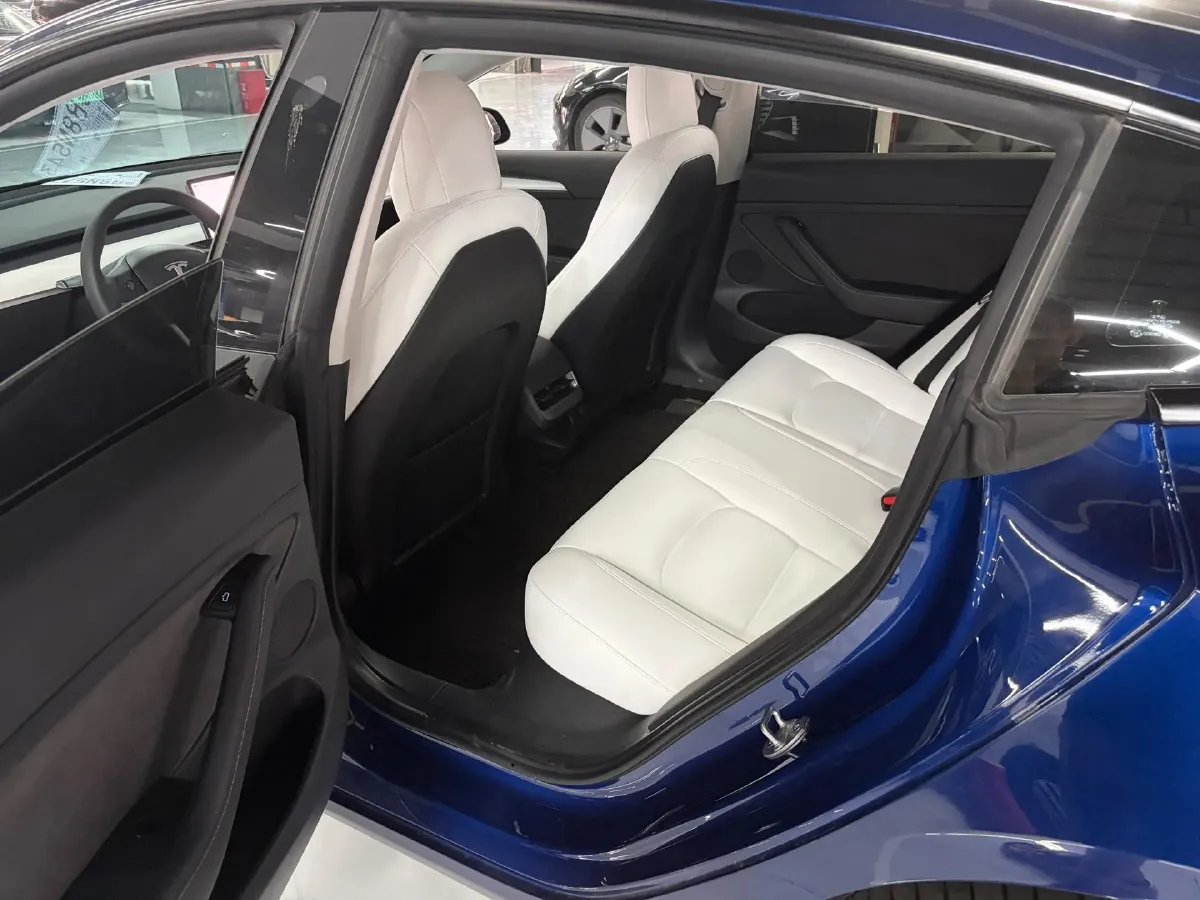 2022 Tesla Model 3 BEV 60KWH,autocango,china used car exporter,china ev exporter,chinese used car exporter,chinese used ev exporter
