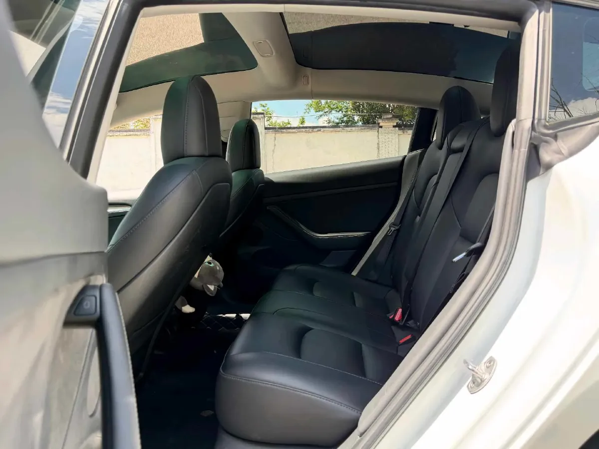 2022 Tesla Model 3 BEV 60KWH,autocango,china used car exporter,china ev exporter,chinese used car exporter,chinese used ev exporter