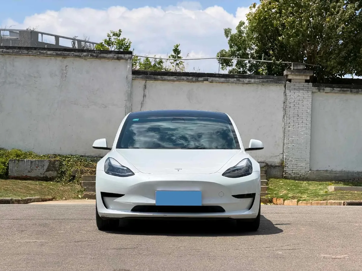2022 Tesla Model 3 BEV 60KWH,autocango,china used car exporter,china ev exporter,chinese used car exporter,chinese used ev exporter