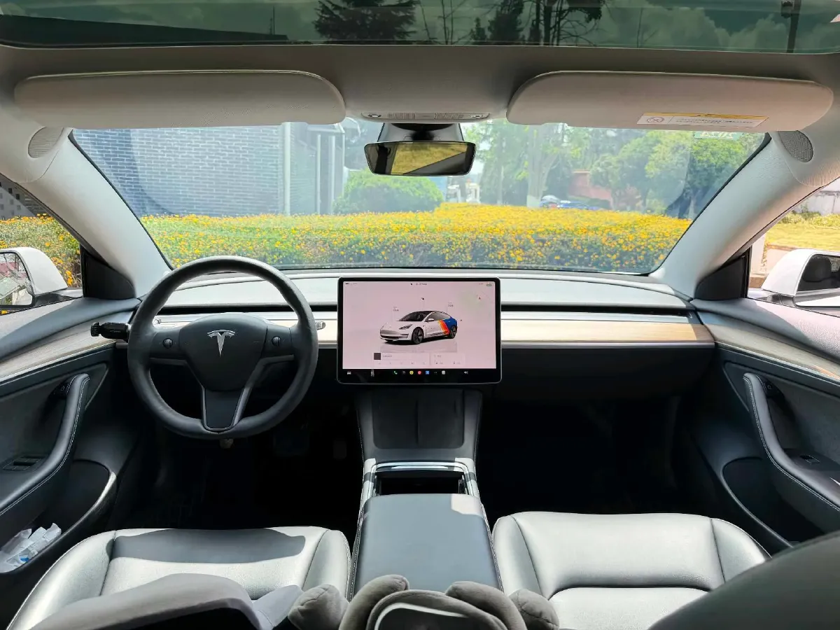 2022 Tesla Model 3 BEV 60KWH,autocango,china used car exporter,china ev exporter,chinese used car exporter,chinese used ev exporter