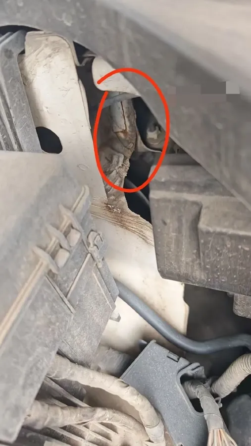 2021 LiFan Maple 80v BEV 53KWH,autocango,china used car exporter,china ev exporter,chinese used car exporter,chinese used ev exporter