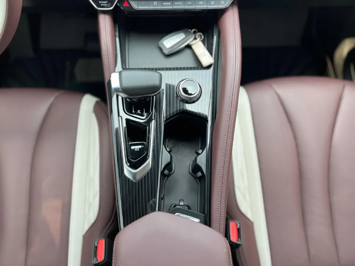 2021 Geely Monjaro 2.0T 218HP L4 7DCT,autocango,china used car exporter,china ev exporter,chinese used car exporter,chinese used ev exporter