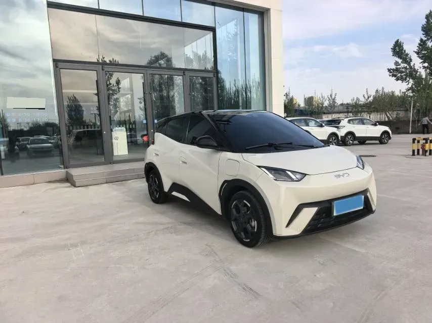 2025 BYD Seagull BEV 30.08KWH,autocango,china used car exporter,china ev exporter,chinese used car exporter,chinese used ev exporter
