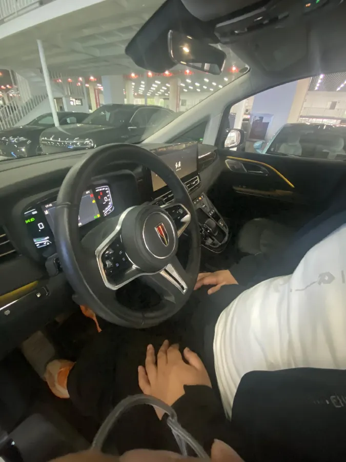 2024 HongQi HQ9 2.0T 163HP L4 1DHT PHEV 20.14KWH,autocango,china used car exporter,china ev exporter,chinese used car exporter,chinese used ev exporter