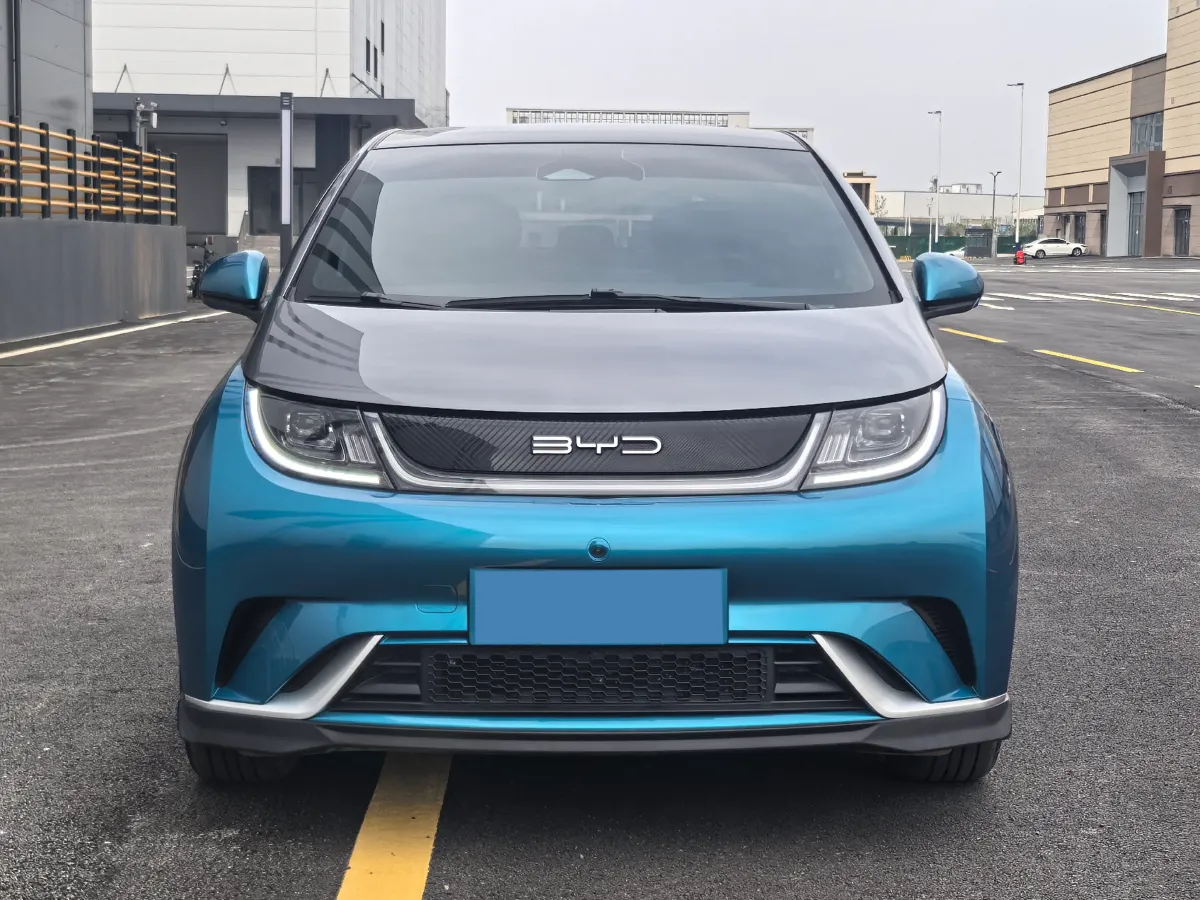 2021 BYD e2 BEV 43.2KWH,autocango,china used car exporter,china ev exporter,chinese used car exporter,chinese used ev exporter