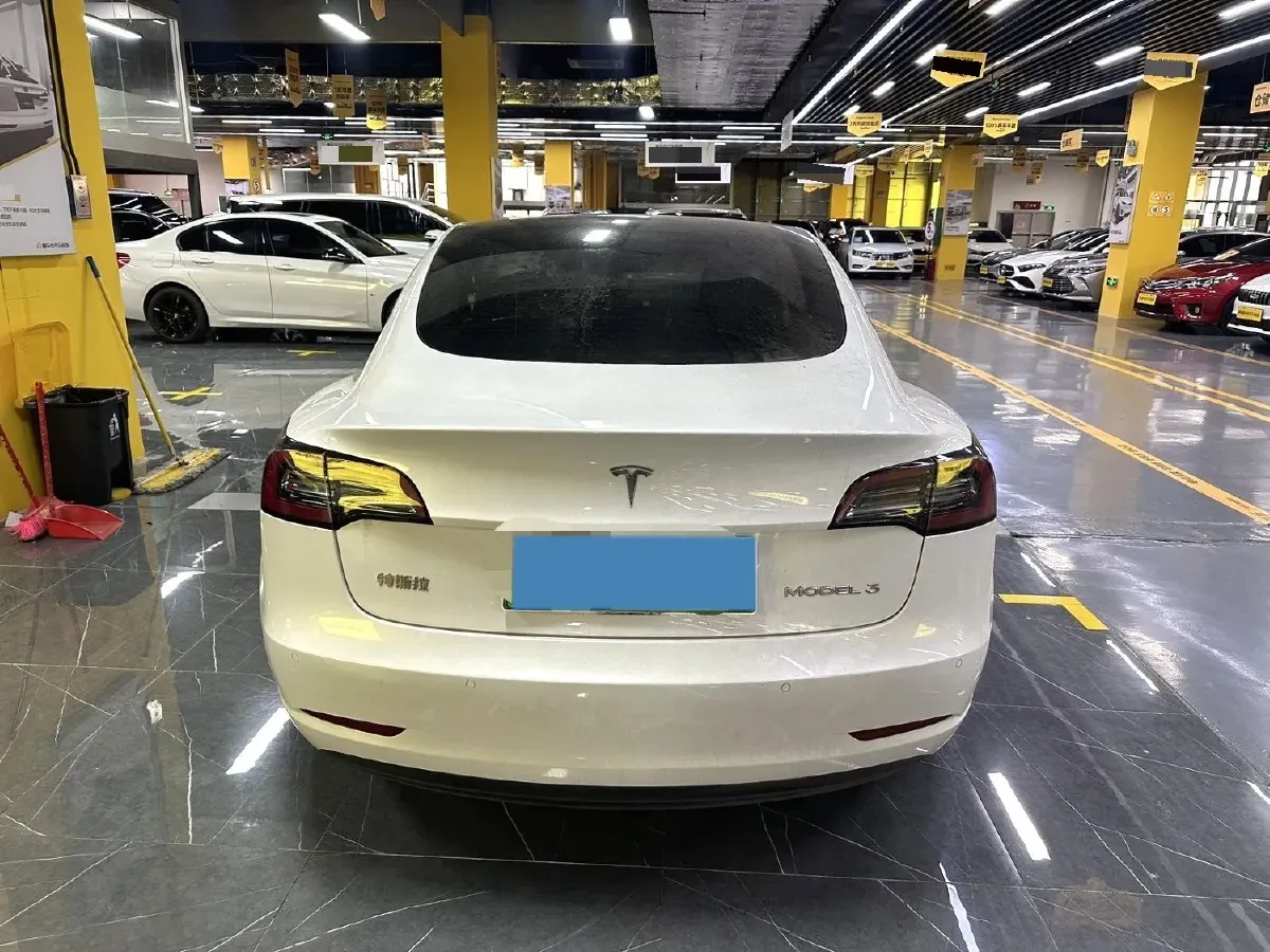 2021 Tesla Model 3 BEV 55KWH,autocango,china used car exporter,china ev exporter,chinese used car exporter,chinese used ev exporter