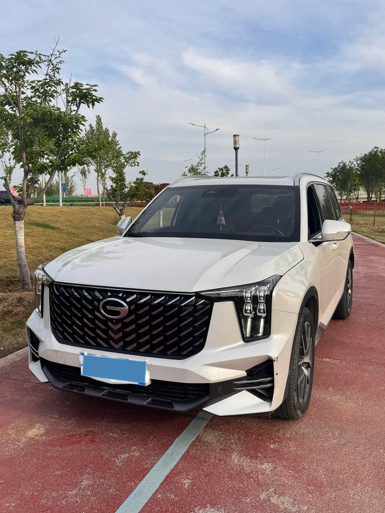 2022 GAC Trumpchi GS8 2.0T 252HP L4 8AT