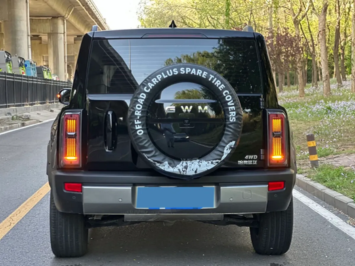 2025 Haval Raptor 2.0T 238HP L4 9DCT,autocango,china used car exporter,china ev exporter,chinese used car exporter,chinese used ev exporter