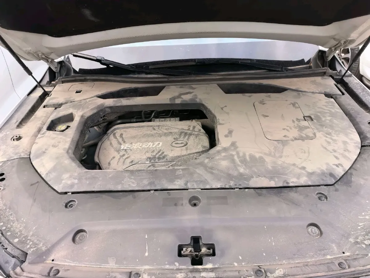 2022 GAC Trumpchi GS8 2.0T 252HP L4 8AT,autocango,china used car exporter,china ev exporter,chinese used car exporter,chinese used ev exporter