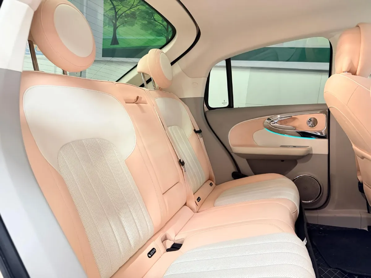 2022 Ora BalletCat BEV 49.92KWH,autocango,china used car exporter,china ev exporter,chinese used car exporter,chinese used ev exporter