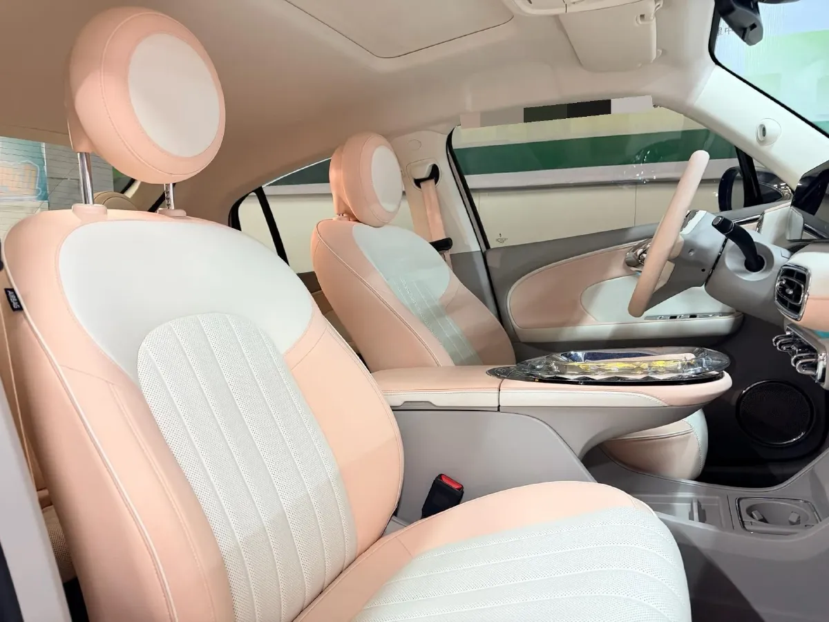 2022 Ora BalletCat BEV 49.92KWH,autocango,china used car exporter,china ev exporter,chinese used car exporter,chinese used ev exporter