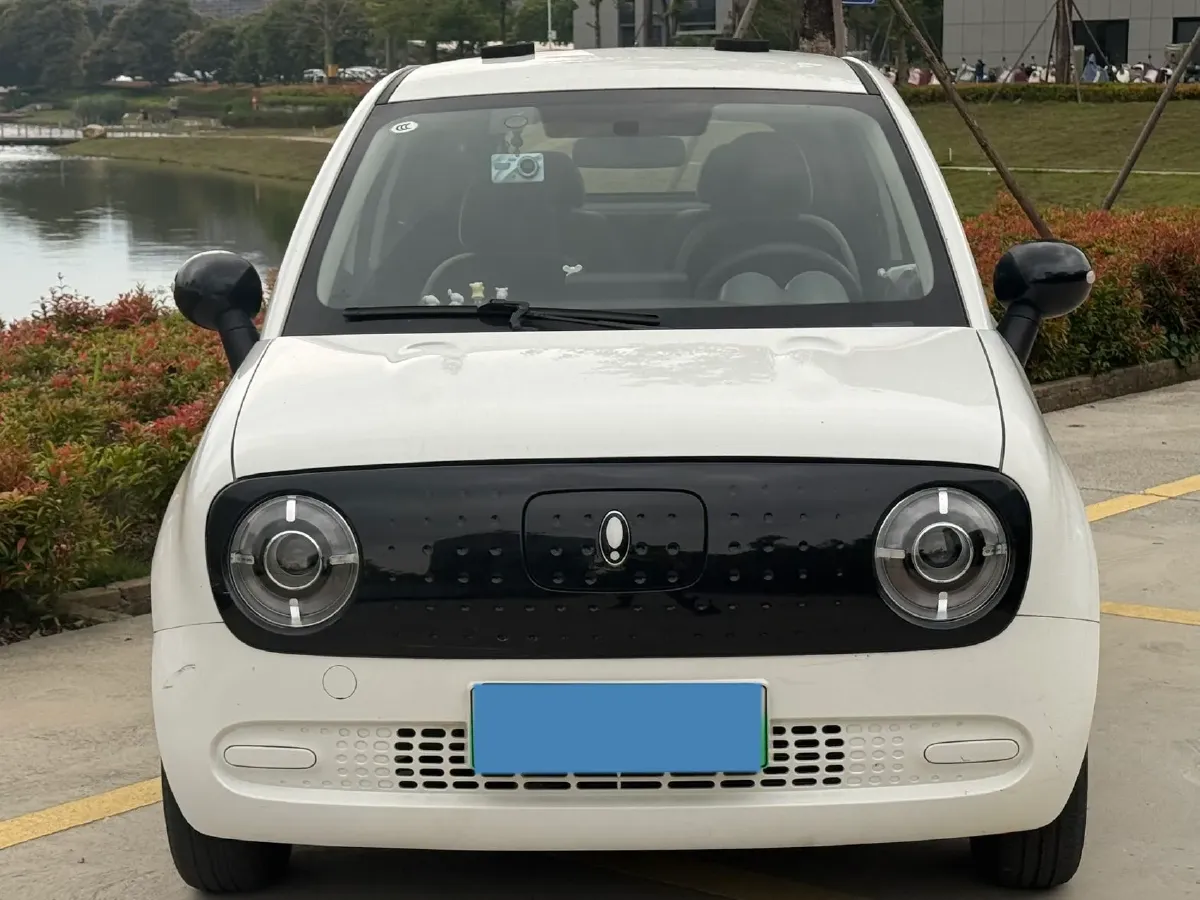 2021 Ora BlackCat BEV 30.3KWH,autocango,china used car exporter,china ev exporter,chinese used car exporter,chinese used ev exporter