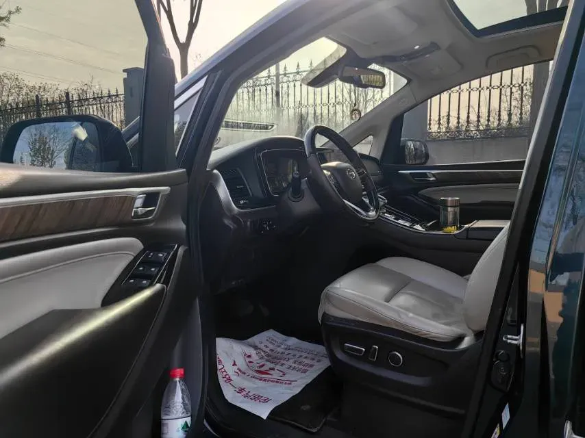 2021 GAC Trumpchi M8 2.0T 252HP L4 8AT,autocango,china used car exporter,china ev exporter,chinese used car exporter,chinese used ev exporter