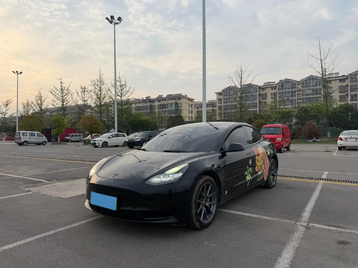2022 Tesla Model 3 BEV 60KWH,autocango,china used car exporter,china ev exporter,chinese used car exporter,chinese used ev exporter