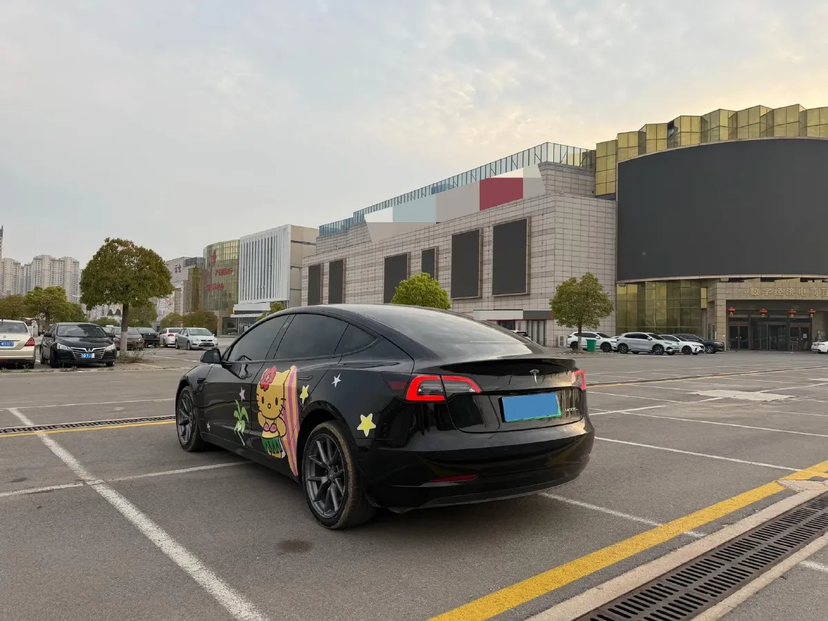 2022 Tesla Model 3 BEV 60KWH,autocango,china used car exporter,china ev exporter,chinese used car exporter,chinese used ev exporter