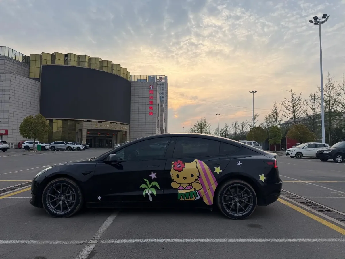 2022 Tesla Model 3 BEV 60KWH,autocango,china used car exporter,china ev exporter,chinese used car exporter,chinese used ev exporter