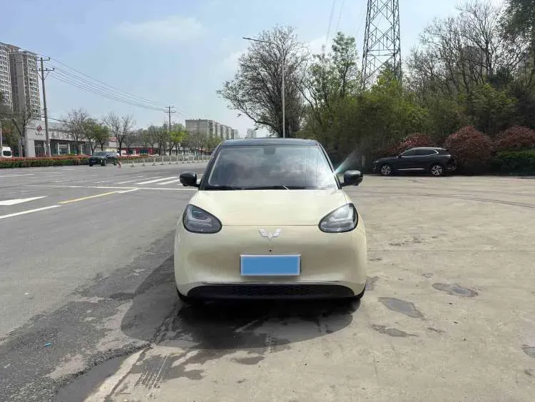 2025 WuLing BinGuo BEV,autocango,china used car exporter,china ev exporter,chinese used car exporter,chinese used ev exporter