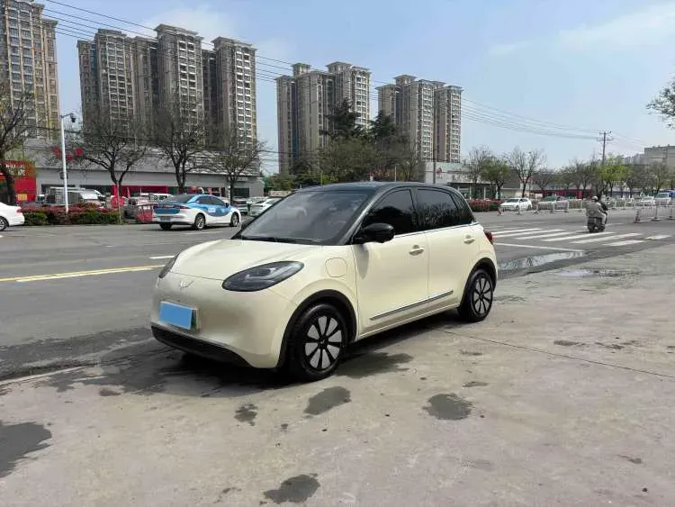 2025 WuLing BinGuo BEV,autocango,china used car exporter,china ev exporter,chinese used car exporter,chinese used ev exporter