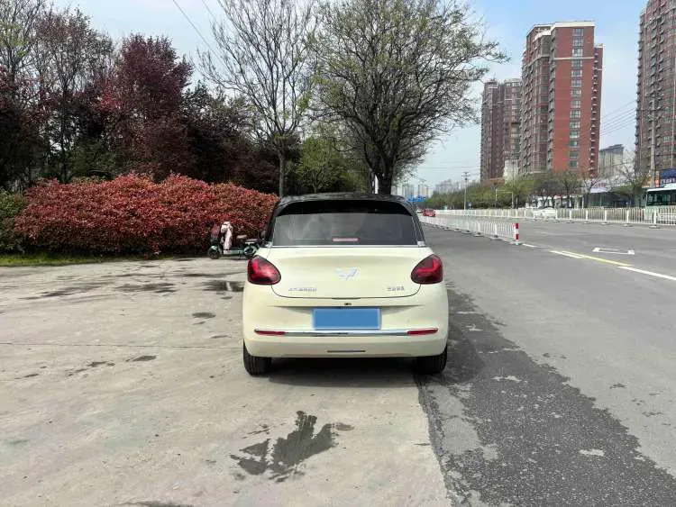 2025 WuLing BinGuo BEV,autocango,china used car exporter,china ev exporter,chinese used car exporter,chinese used ev exporter