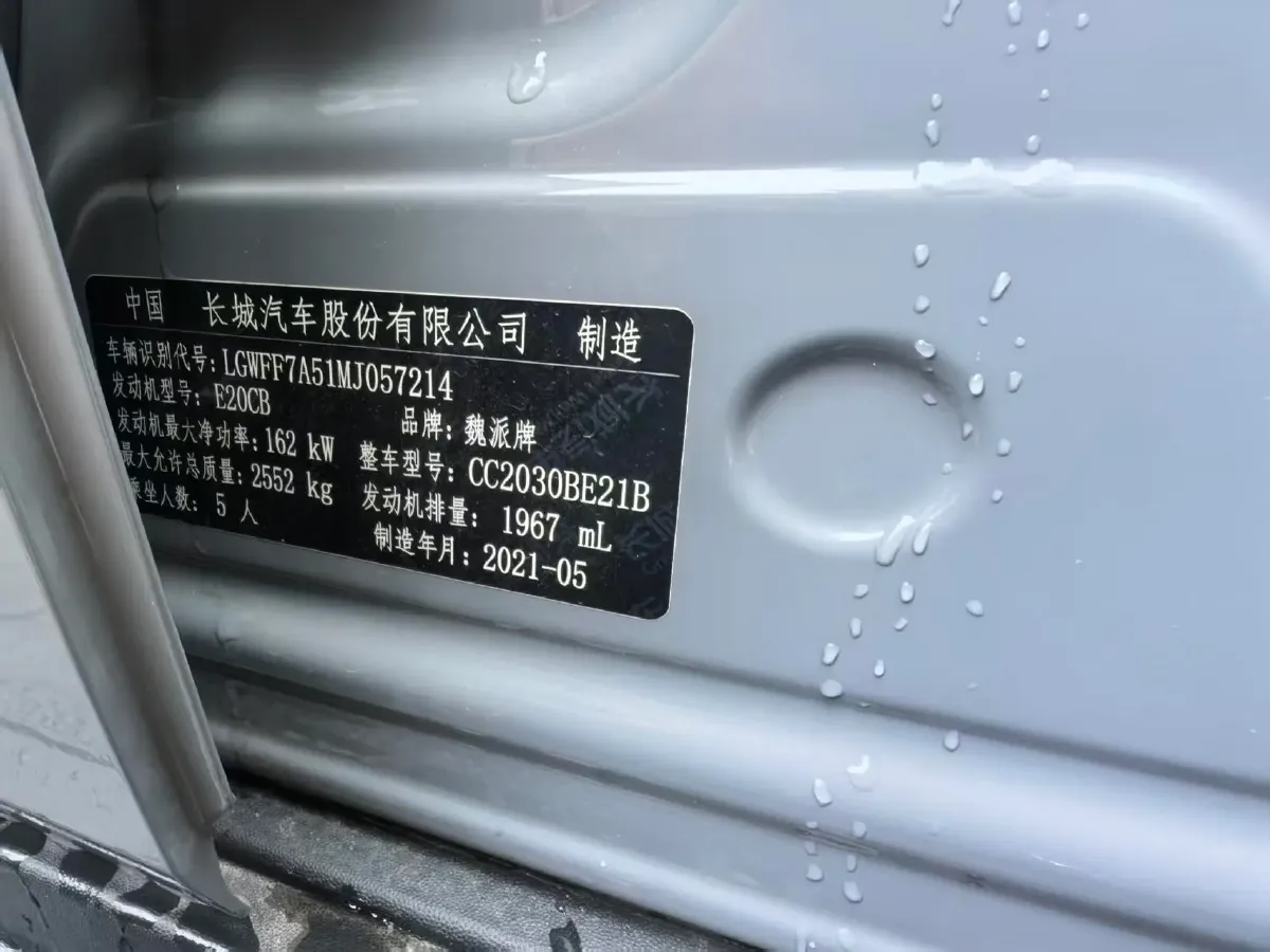 2021 Tank 300 2.0T 227HP L4 8AT,autocango,china used car exporter,china ev exporter,chinese used car exporter,chinese used ev exporter