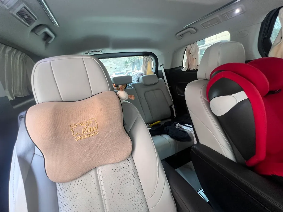 2021 GAC Trumpchi M8 2.0T 252HP L4 8AT,autocango,china used car exporter,china ev exporter,chinese used car exporter,chinese used ev exporter