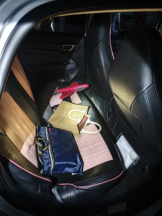 2021 Leapmotor T03 BEV 38KWH,autocango,china used car exporter,china ev exporter,chinese used car exporter,chinese used ev exporter