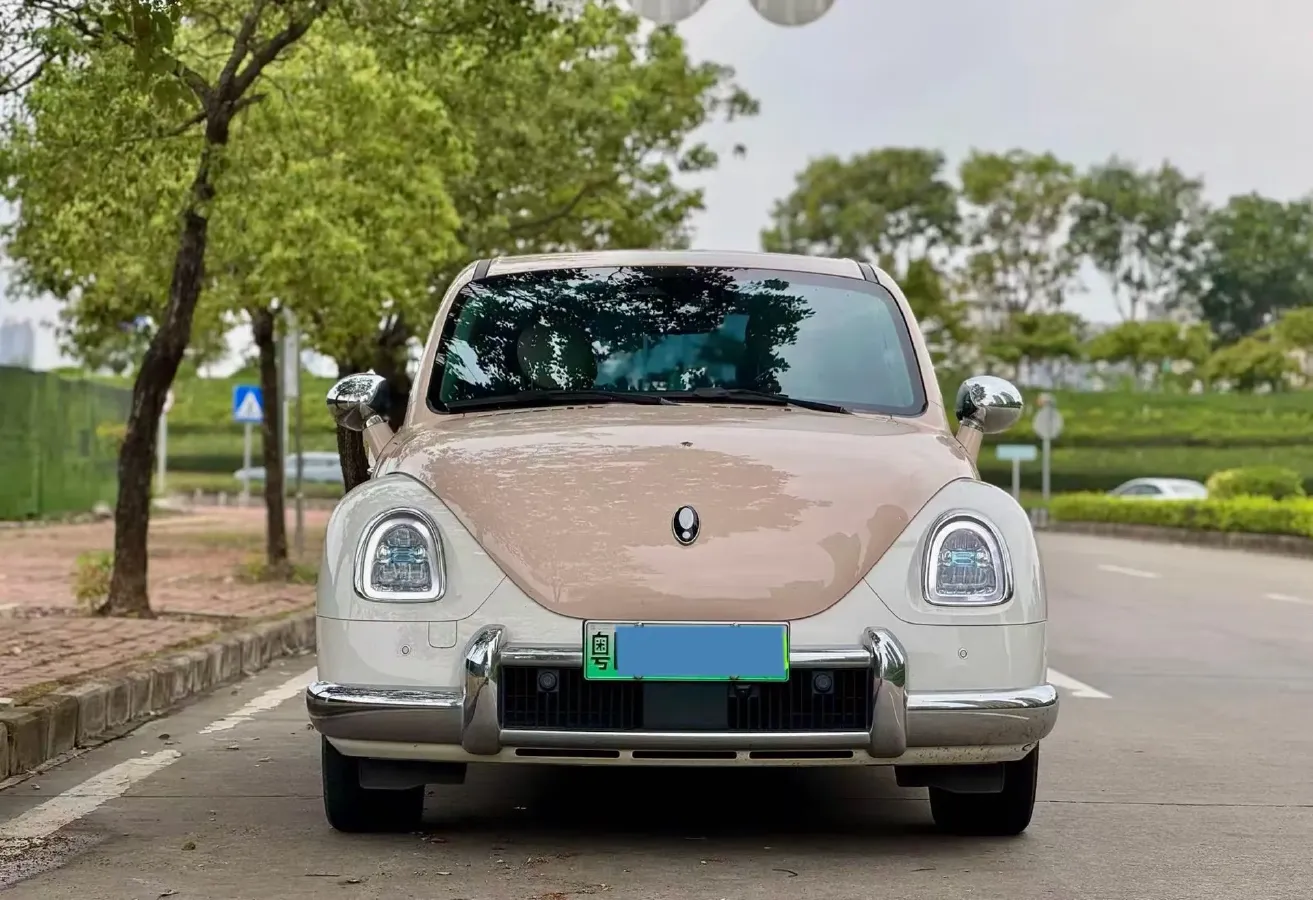 2022 Ora BalletCat BEV 49.92KWH,autocango,china used car exporter,china ev exporter,chinese used car exporter,chinese used ev exporter