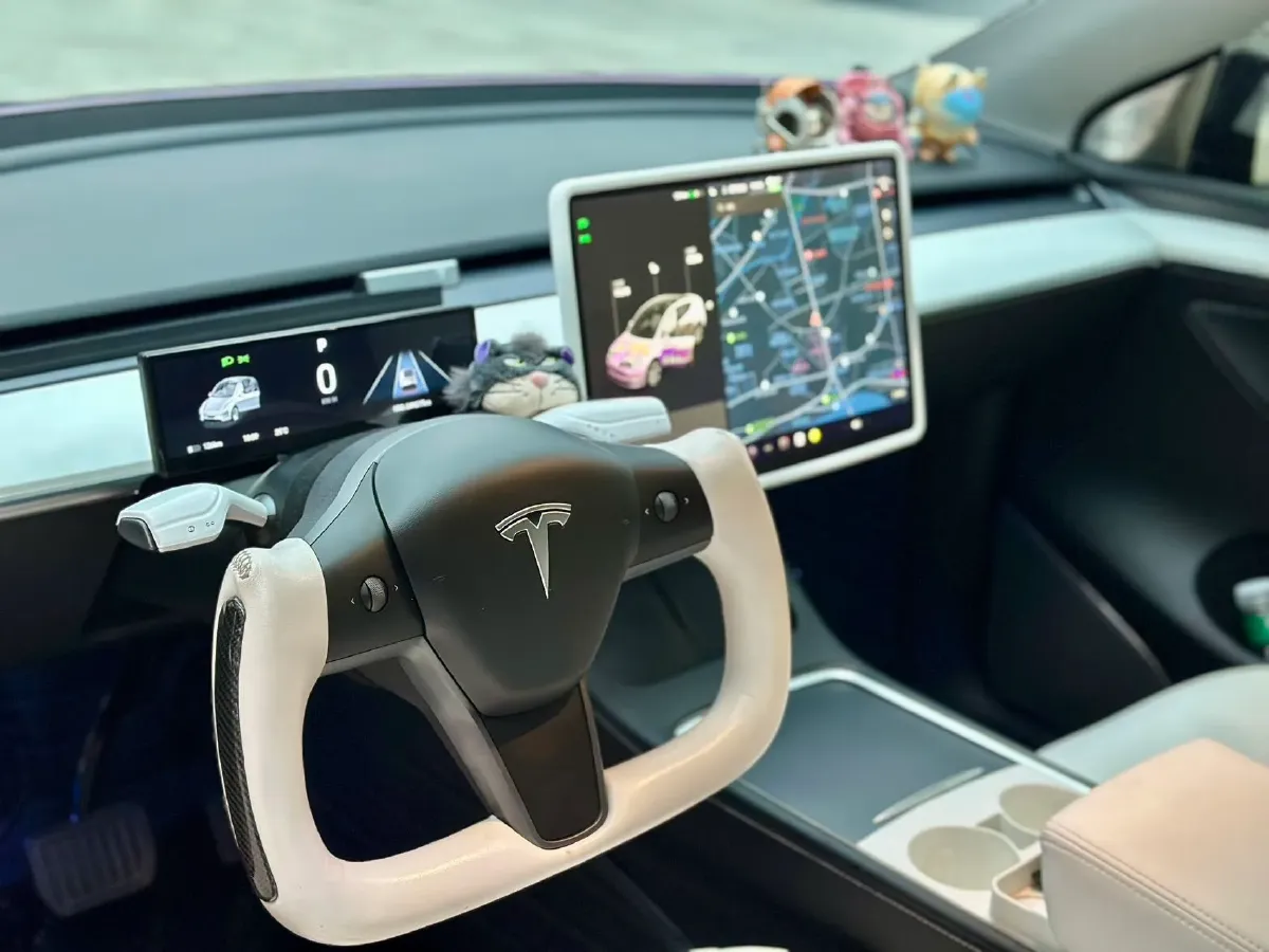 2021 Tesla Model Y BEV 76.8KWH,autocango,china used car exporter,china ev exporter,chinese used car exporter,chinese used ev exporter