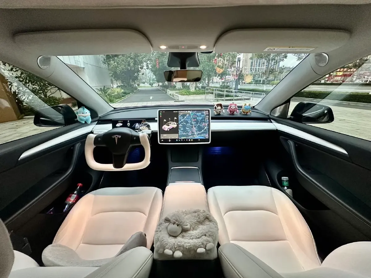 2021 Tesla Model Y BEV 76.8KWH,autocango,china used car exporter,china ev exporter,chinese used car exporter,chinese used ev exporter