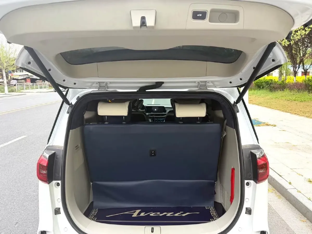 2020 Buick GL8 2.0T 237HP L4 9AT,autocango,china used car exporter,china ev exporter,chinese used car exporter,chinese used ev exporter