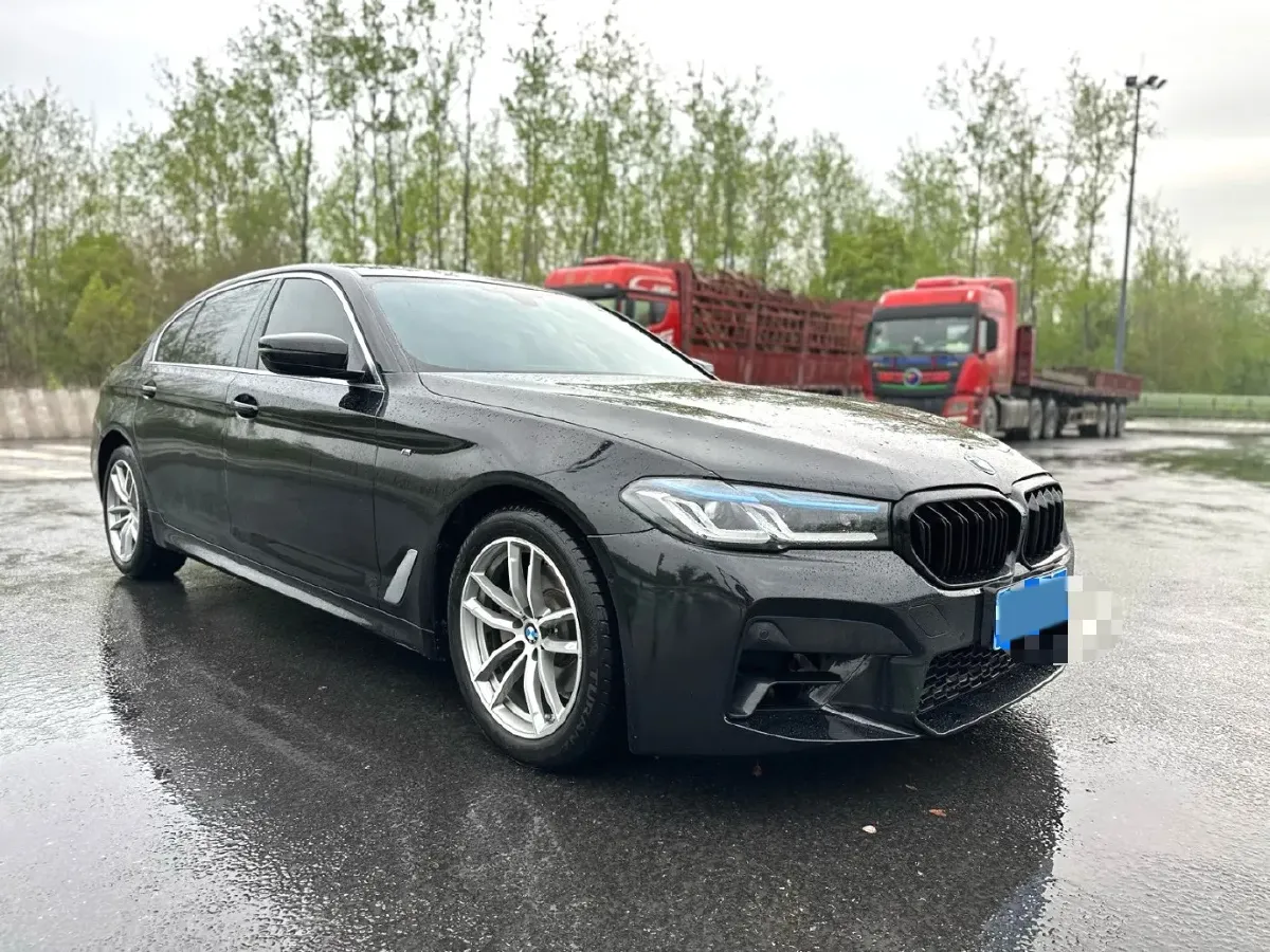 2020 BMW 5 Series 2.0T 184HP L4 8AT,autocango,china used car exporter,china ev exporter,chinese used car exporter,chinese used ev exporter