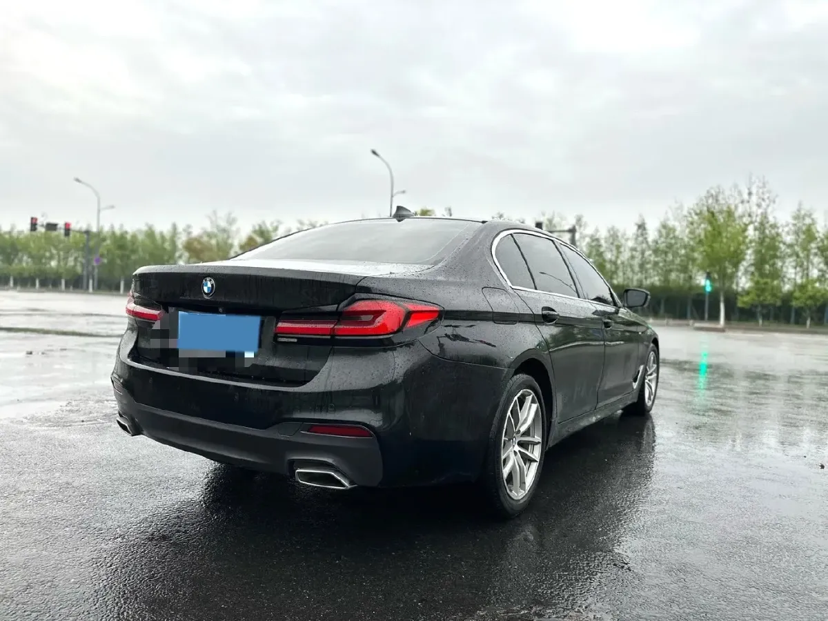 2020 BMW 5 Series 2.0T 184HP L4 8AT,autocango,china used car exporter,china ev exporter,chinese used car exporter,chinese used ev exporter