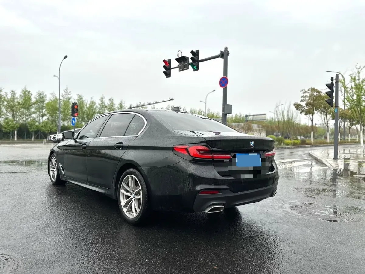 2020 BMW 5 Series 2.0T 184HP L4 8AT,autocango,china used car exporter,china ev exporter,chinese used car exporter,chinese used ev exporter