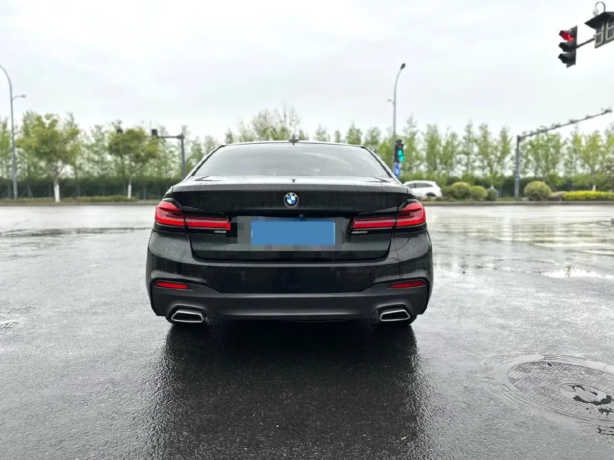 2020 BMW 5 Series 2.0T 184HP L4 8AT,autocango,china used car exporter,china ev exporter,chinese used car exporter,chinese used ev exporter