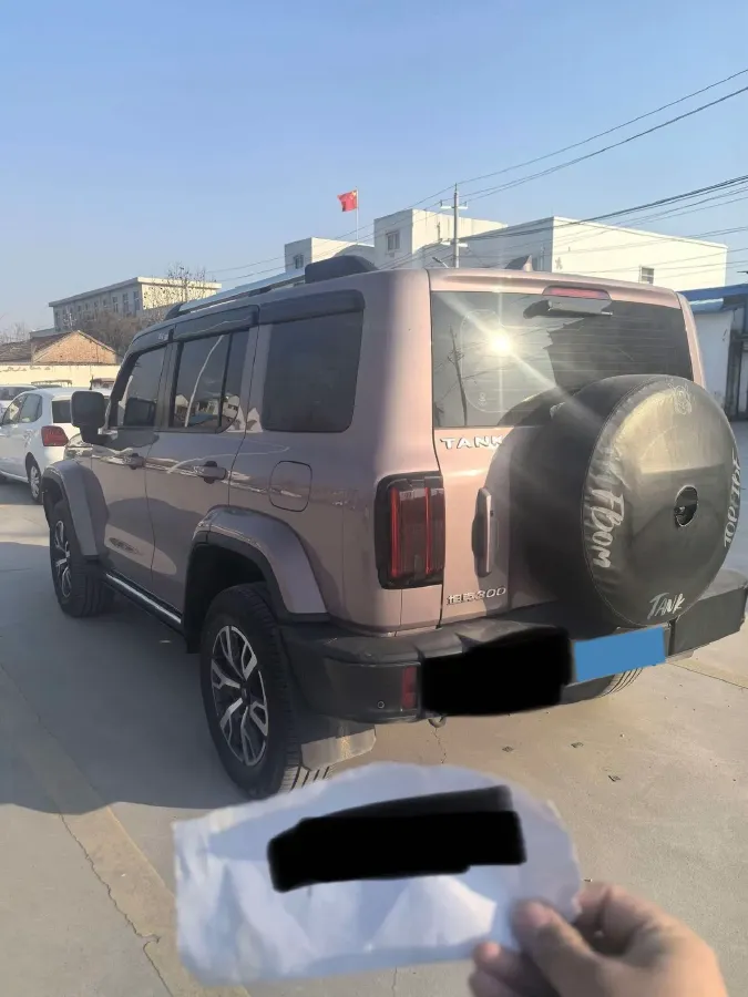 2021 Tank 300 2.0T 227HP L4 8AT,autocango,china used car exporter,china ev exporter,chinese used car exporter,chinese used ev exporter