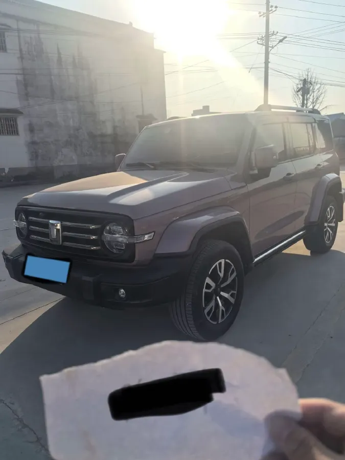 2021 Tank 300 2.0T 227HP L4 8AT,autocango,china used car exporter,china ev exporter,chinese used car exporter,chinese used ev exporter