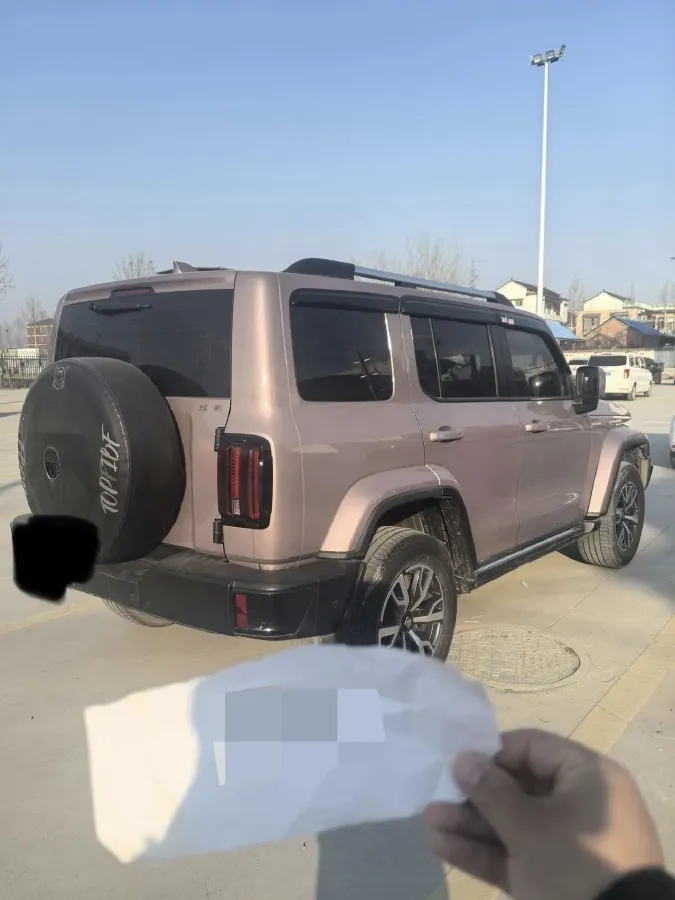 2021 Tank 300 2.0T 227HP L4 8AT,autocango,china used car exporter,china ev exporter,chinese used car exporter,chinese used ev exporter