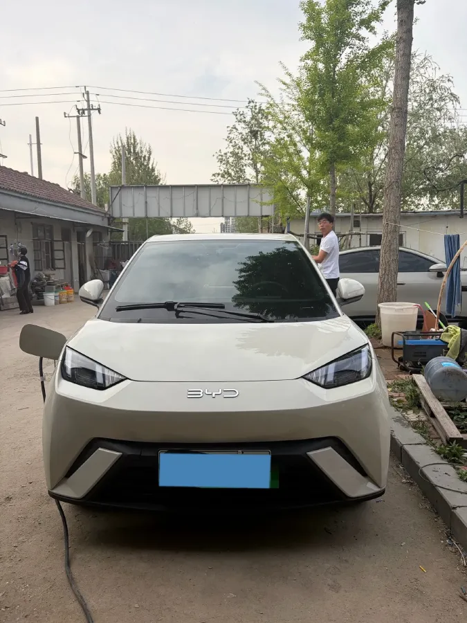 2024 BYD Seagull BEV 30.08KWH,autocango,china used car exporter,china ev exporter,chinese used car exporter,chinese used ev exporter