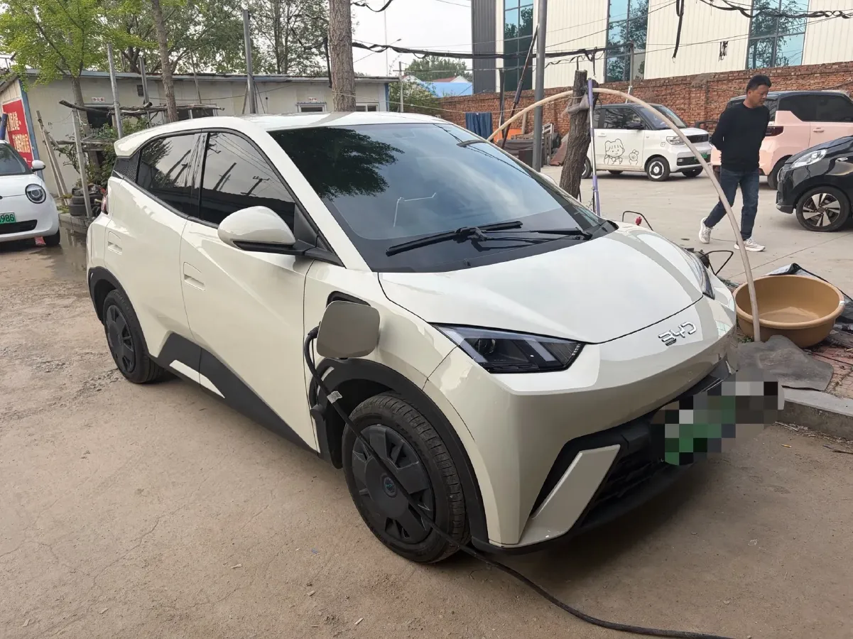 2024 BYD Seagull BEV 30.08KWH,autocango,china used car exporter,china ev exporter,chinese used car exporter,chinese used ev exporter