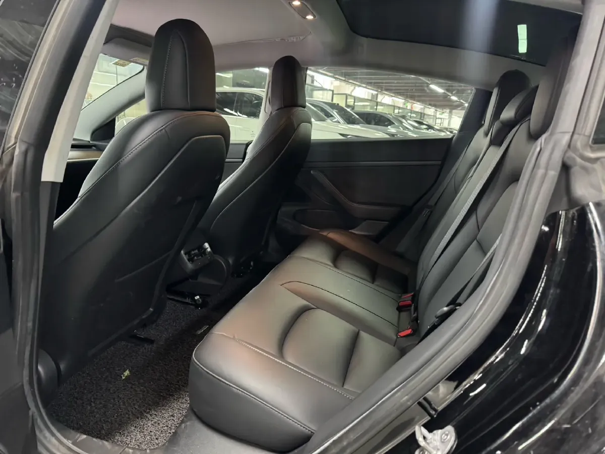 2021 Tesla Model 3 BEV 55KWH,autocango,china used car exporter,china ev exporter,chinese used car exporter,chinese used ev exporter