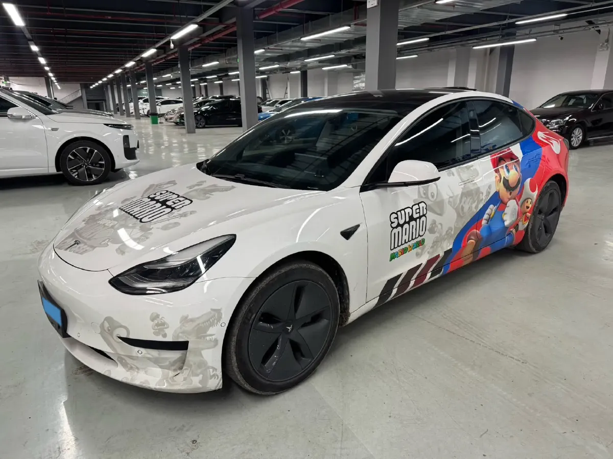 2021 Tesla Model 3 BEV 55KWH,autocango,china used car exporter,china ev exporter,chinese used car exporter,chinese used ev exporter