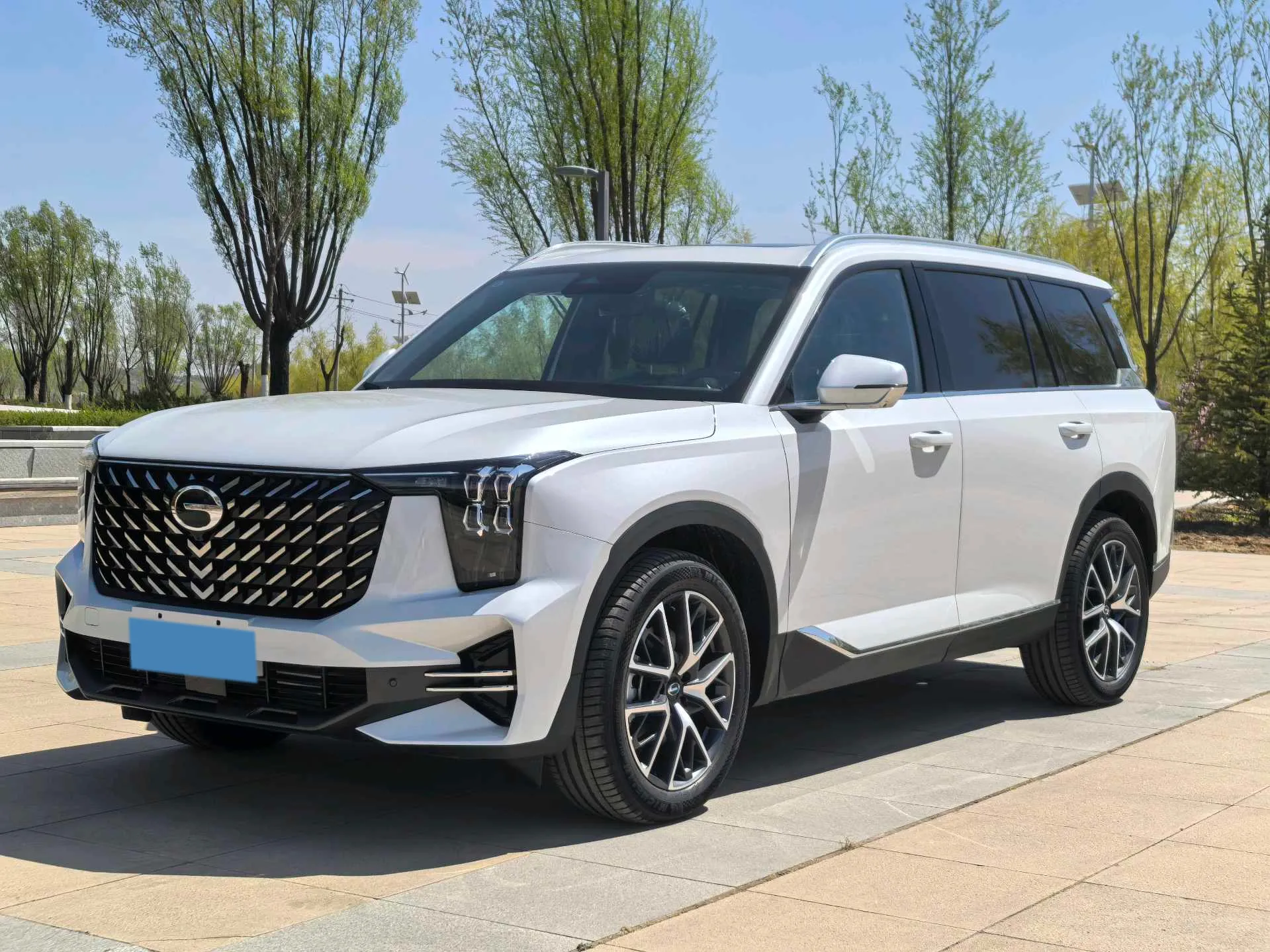 2025 GAC Trumpchi GS8 2.0T 252HP L4 8AT