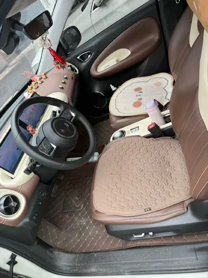 2023 WuLing BinGuo BEV 31.9KWH,autocango,china used car exporter,china ev exporter,chinese used car exporter,chinese used ev exporter