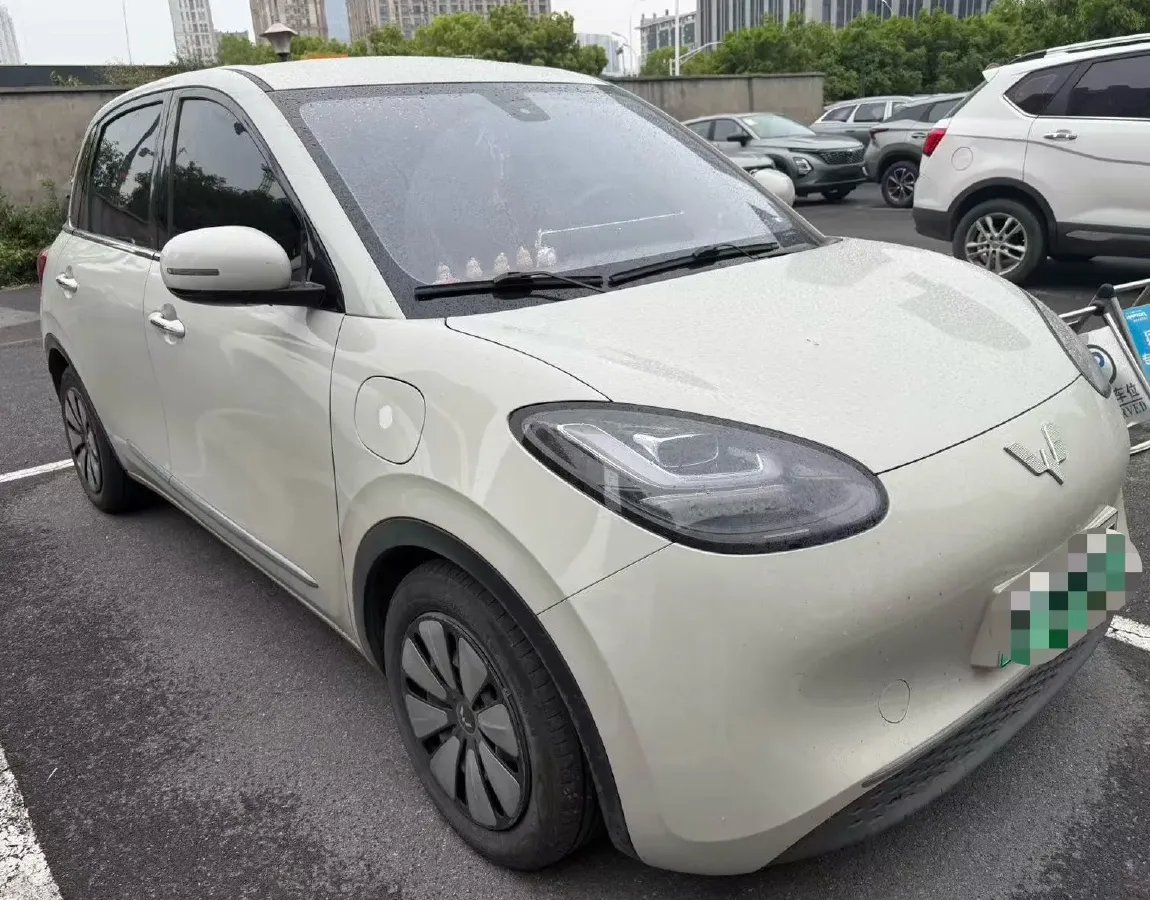 2023 WuLing BinGuo BEV 31.9KWH,autocango,china used car exporter,china ev exporter,chinese used car exporter,chinese used ev exporter