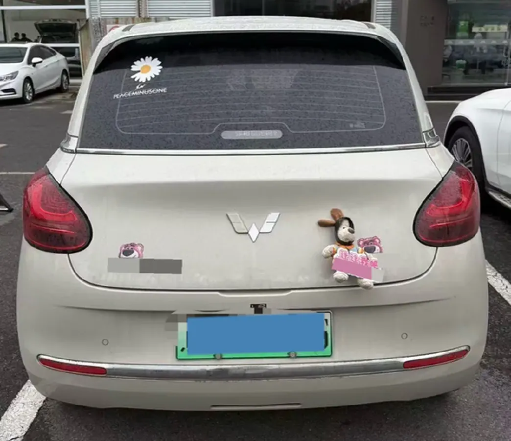 2023 WuLing BinGuo BEV 31.9KWH,autocango,china used car exporter,china ev exporter,chinese used car exporter,chinese used ev exporter