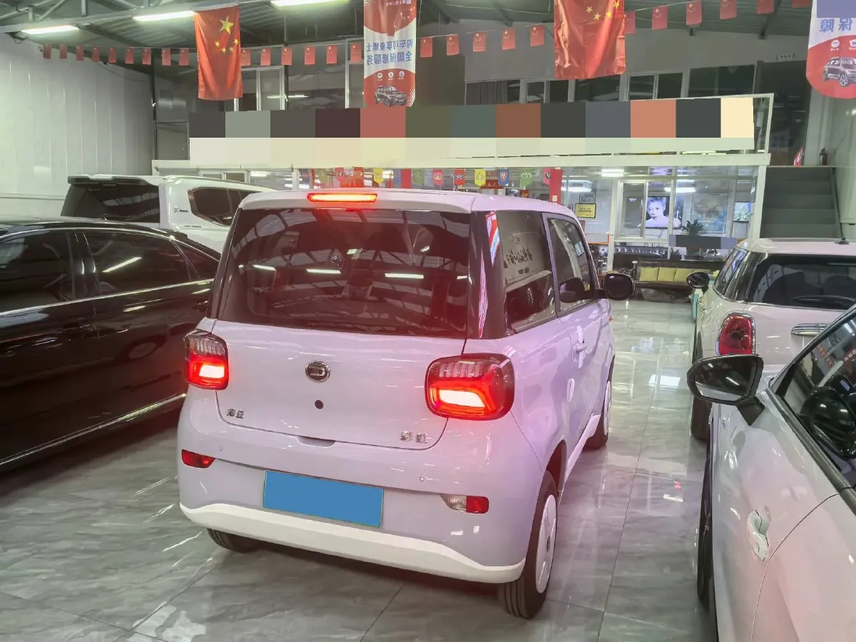 2024 ZD Rainbow BEV 17.18KWH,autocango,china used car exporter,china ev exporter,chinese used car exporter,chinese used ev exporter