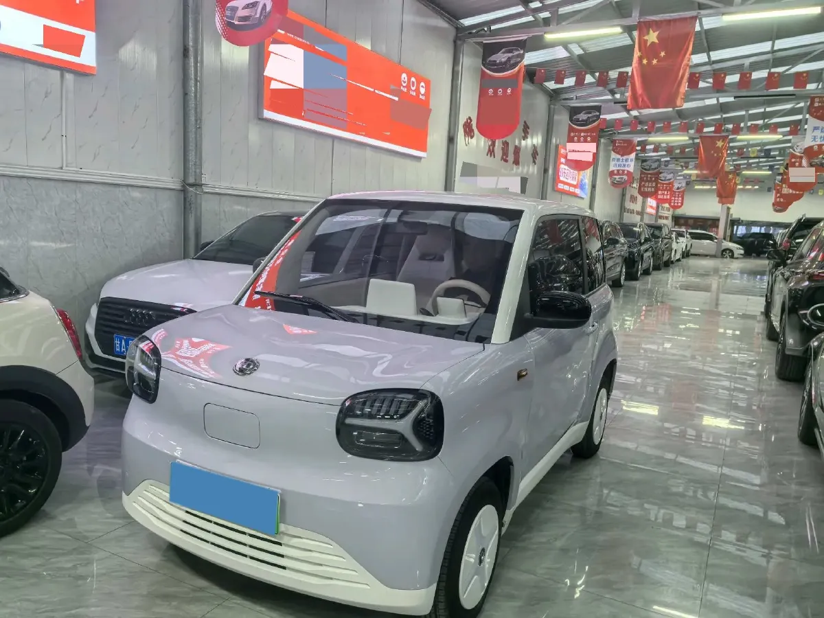2024 ZD Rainbow BEV 17.18KWH,autocango,china used car exporter,china ev exporter,chinese used car exporter,chinese used ev exporter